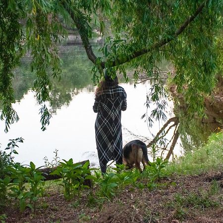 Quinta Da Lontra Villa Tabua  Bagian luar foto