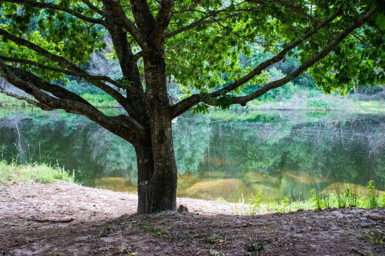 Quinta Da Lontra Villa Tabua  Bagian luar foto