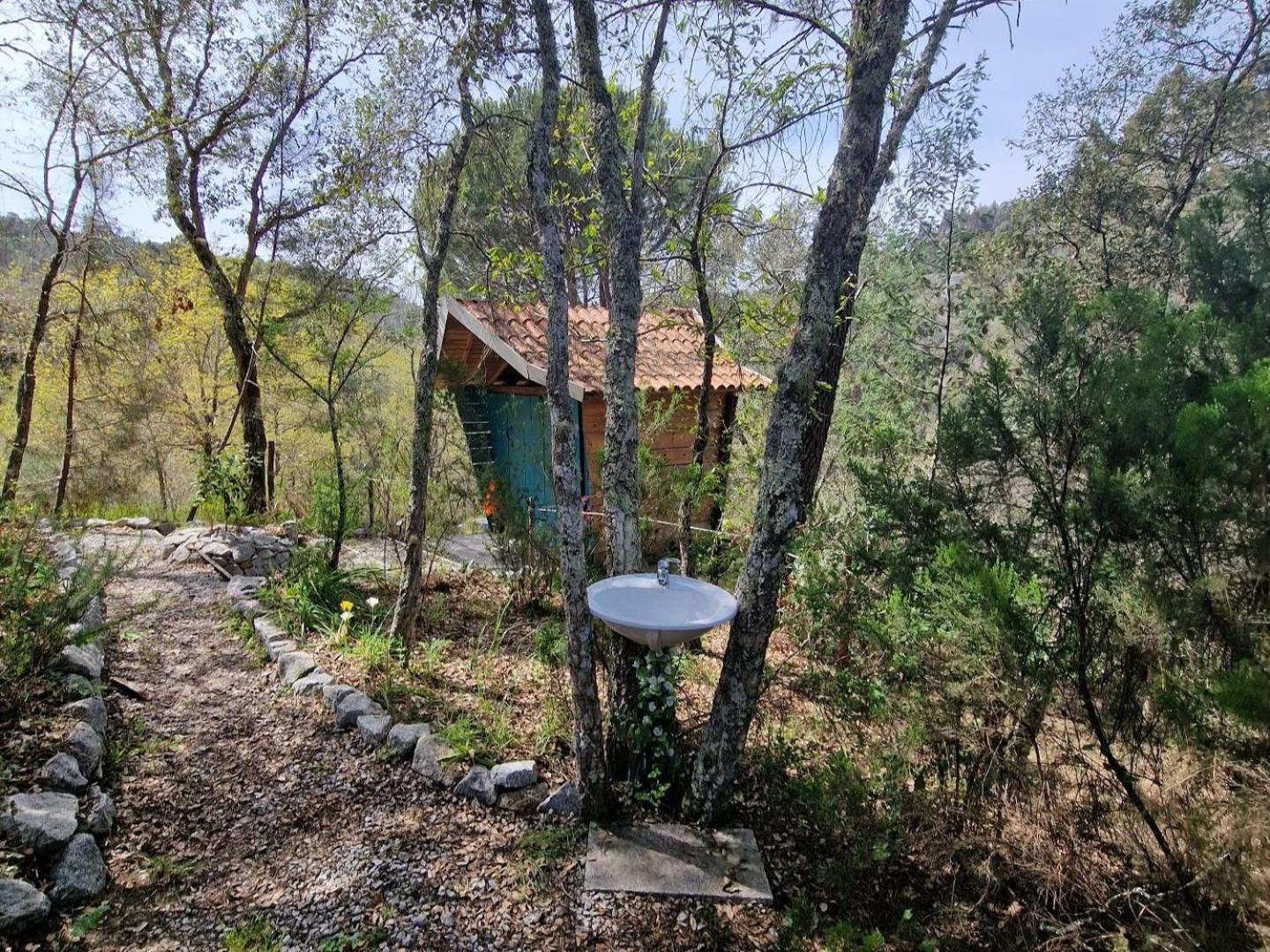 Quinta Da Lontra Villa Tabua  Bagian luar foto