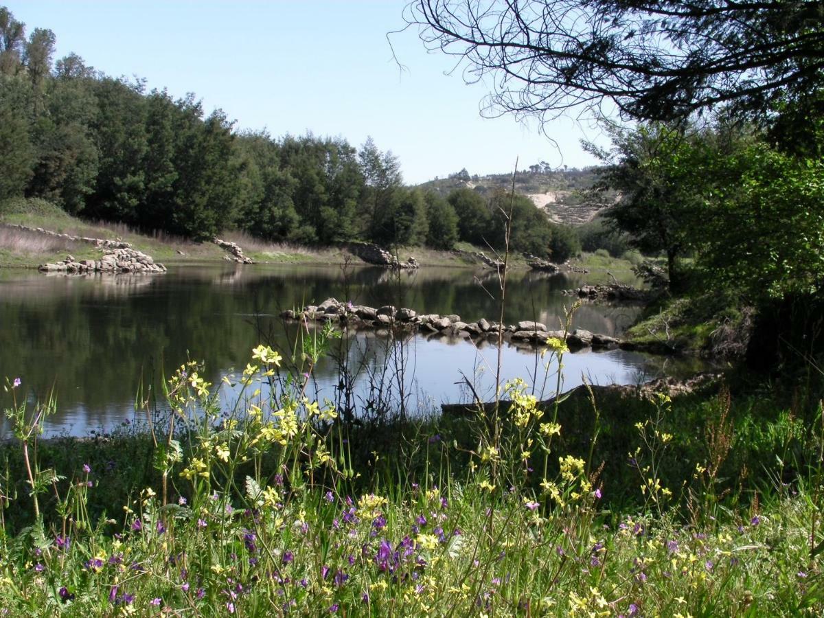 Quinta Da Lontra Villa Tabua  Bagian luar foto