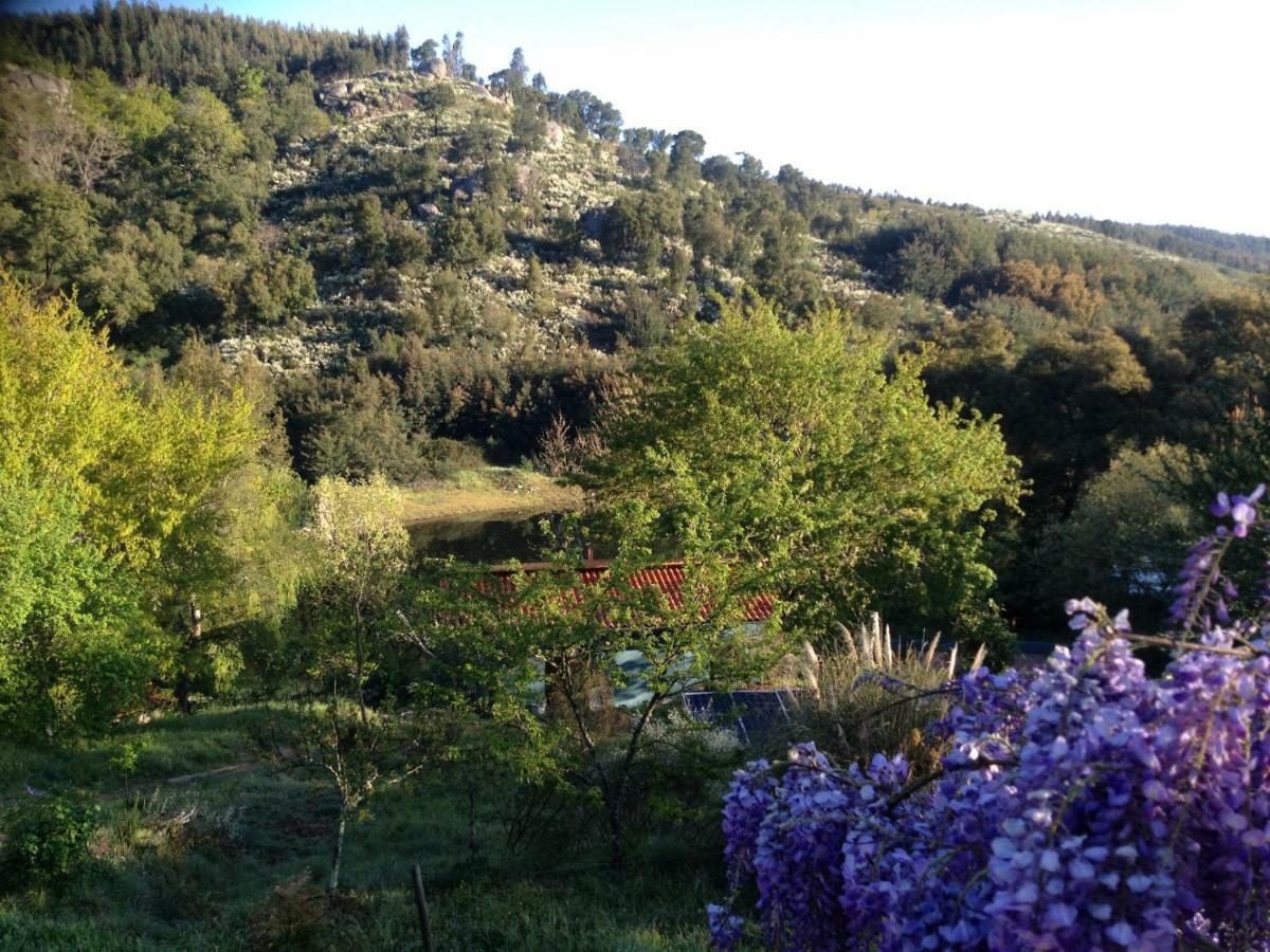 Quinta Da Lontra Villa Tabua  Bagian luar foto